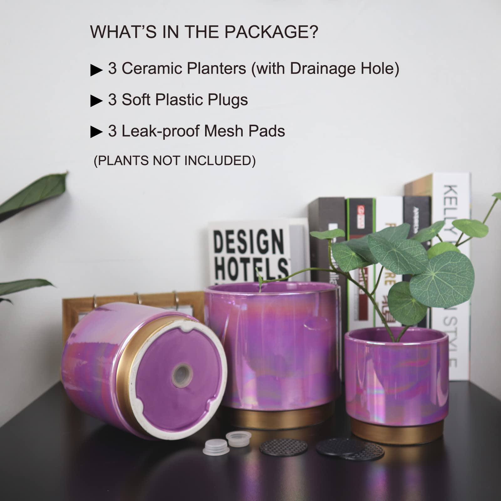 Gepege maceta en uso con suculentas para decoración interior