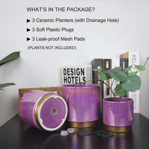 Gepege maceta en uso con suculentas para decoración interior