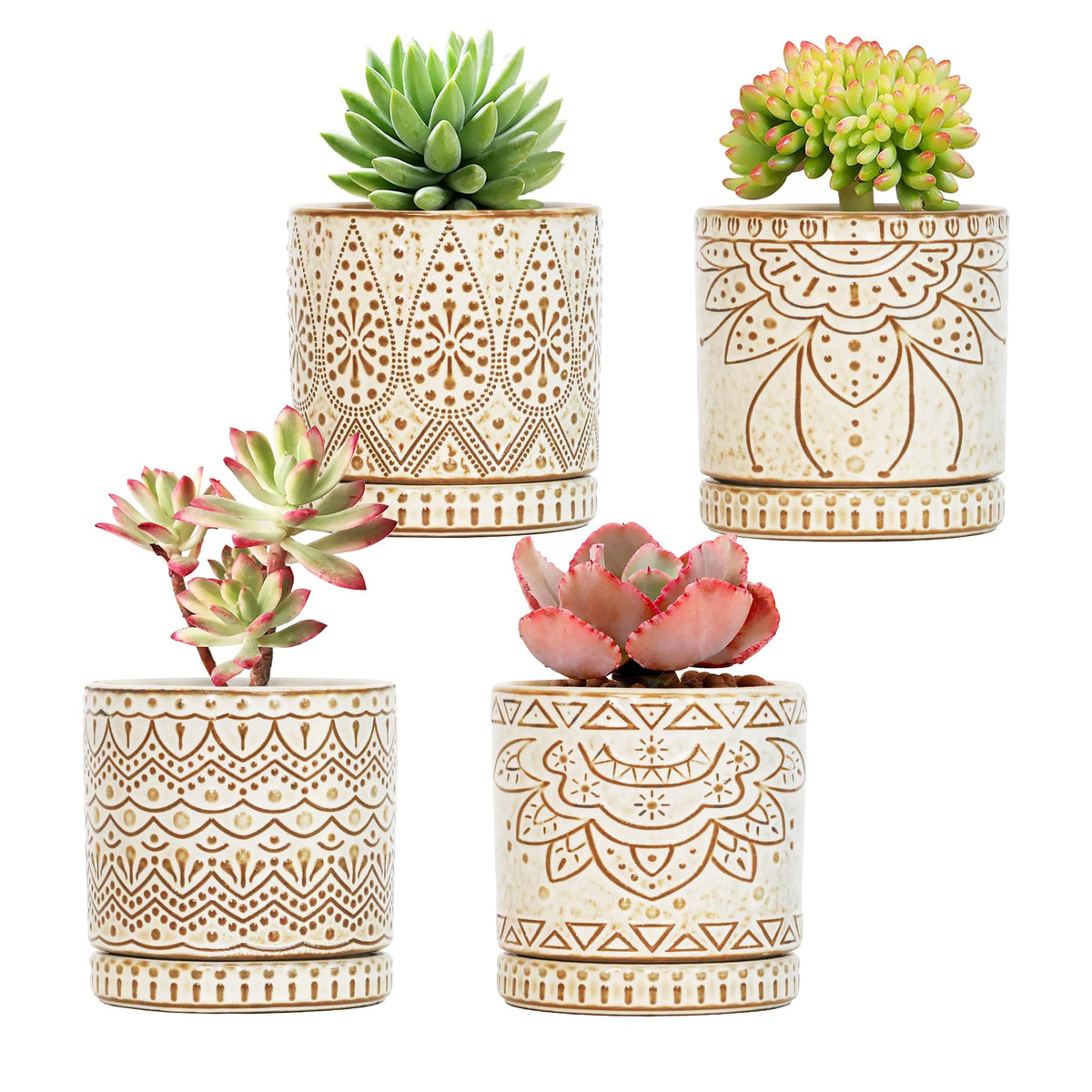 Gepege maceta frontal conjunto mostrando diseño elegante y función