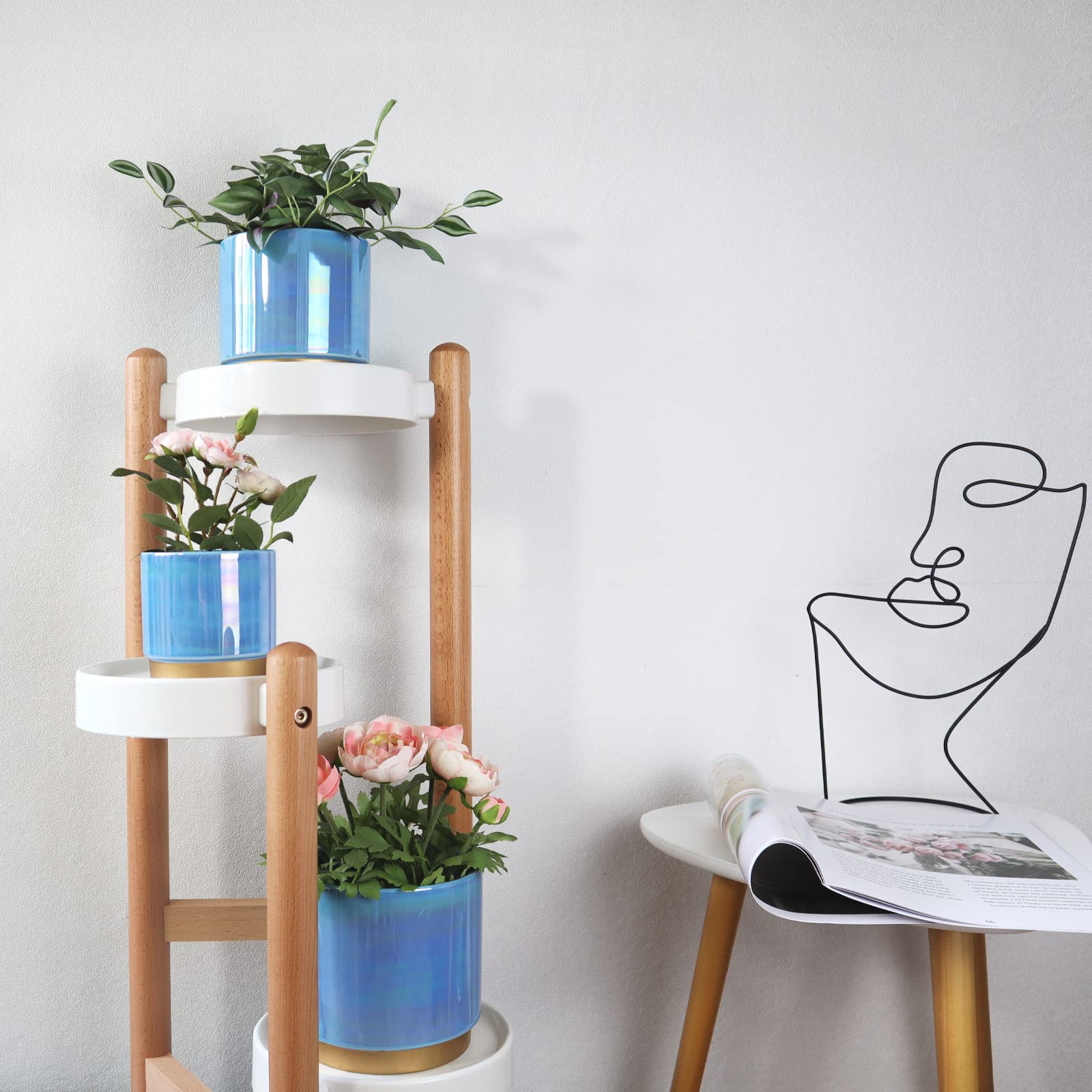 Gepege conjunto empaquetado ideal como regalo para aficionados a plantas