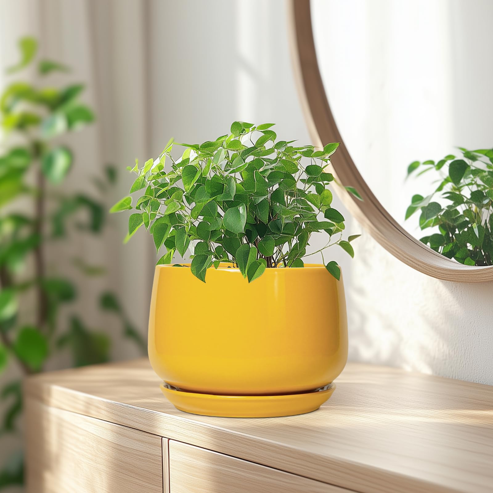 G EPGardening comparación de tamaño junto a una regla para referencia clara