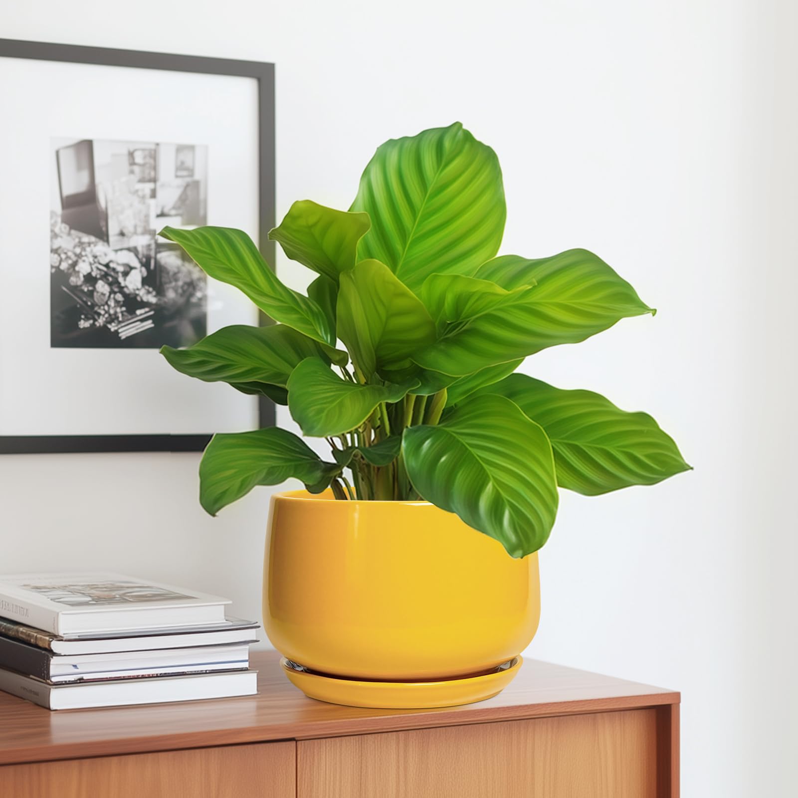 G EPGardening maceta con planta en un salón destacando color y estilo decorativo