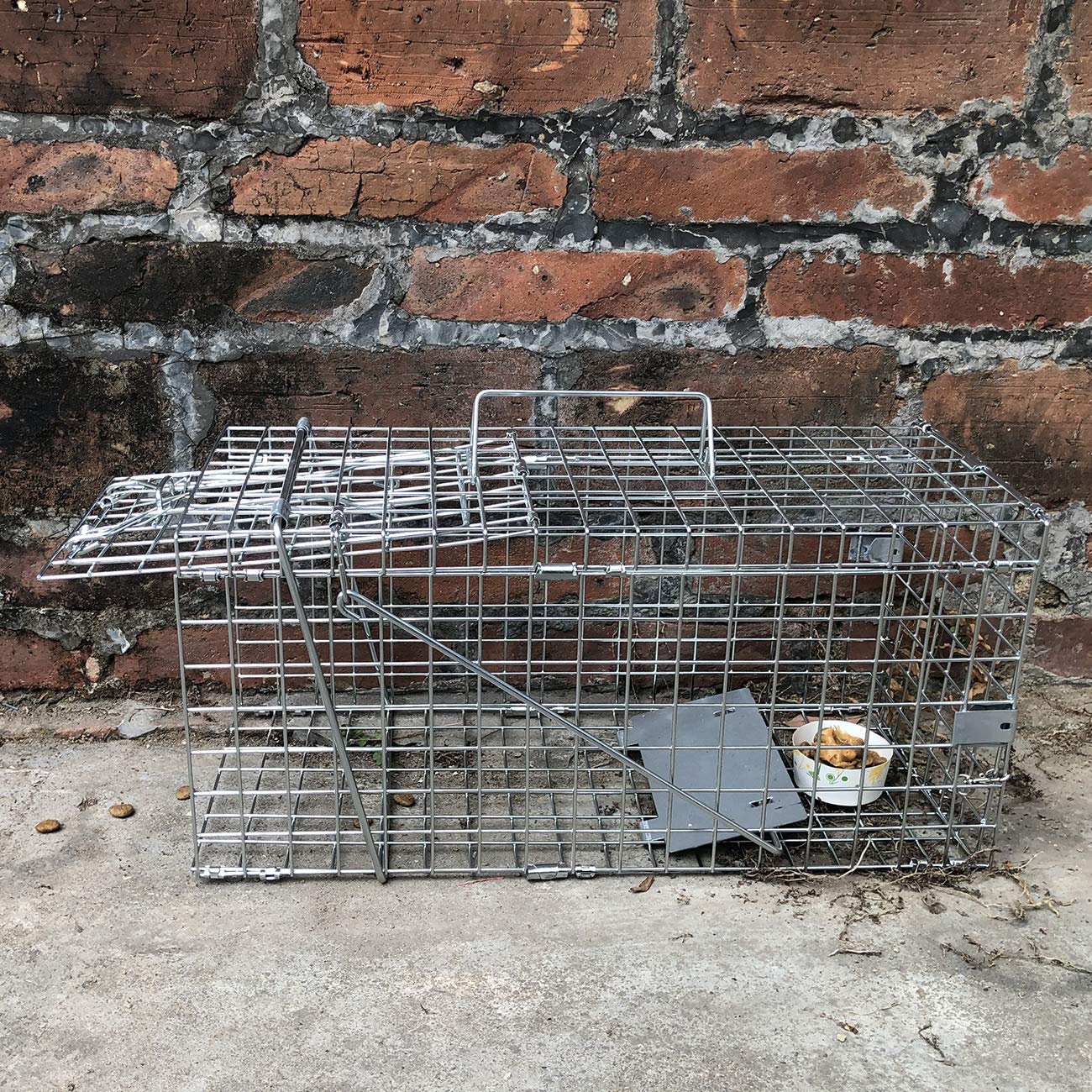 Gingbau comparación de tamaño con una mano que muestra dimensiones prácticas