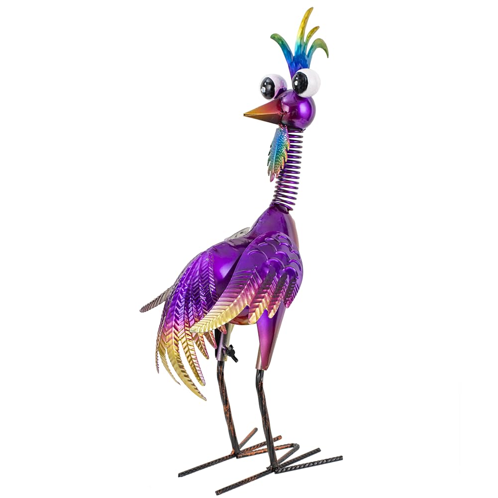 giole gallo frontal mostrando colores vivos y atractivo visual