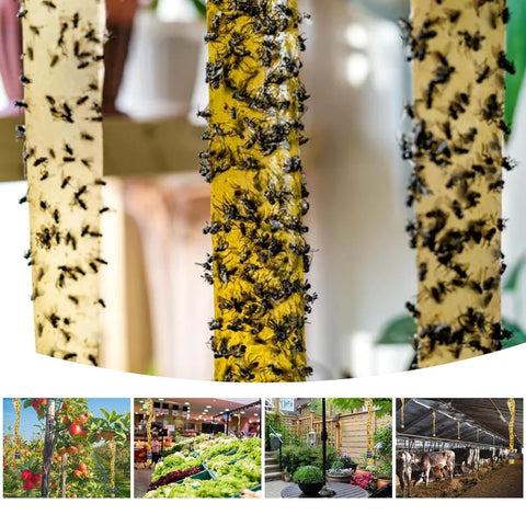 Glovv primer plano del adhesivo espeso que atrapa insectos eficientemente