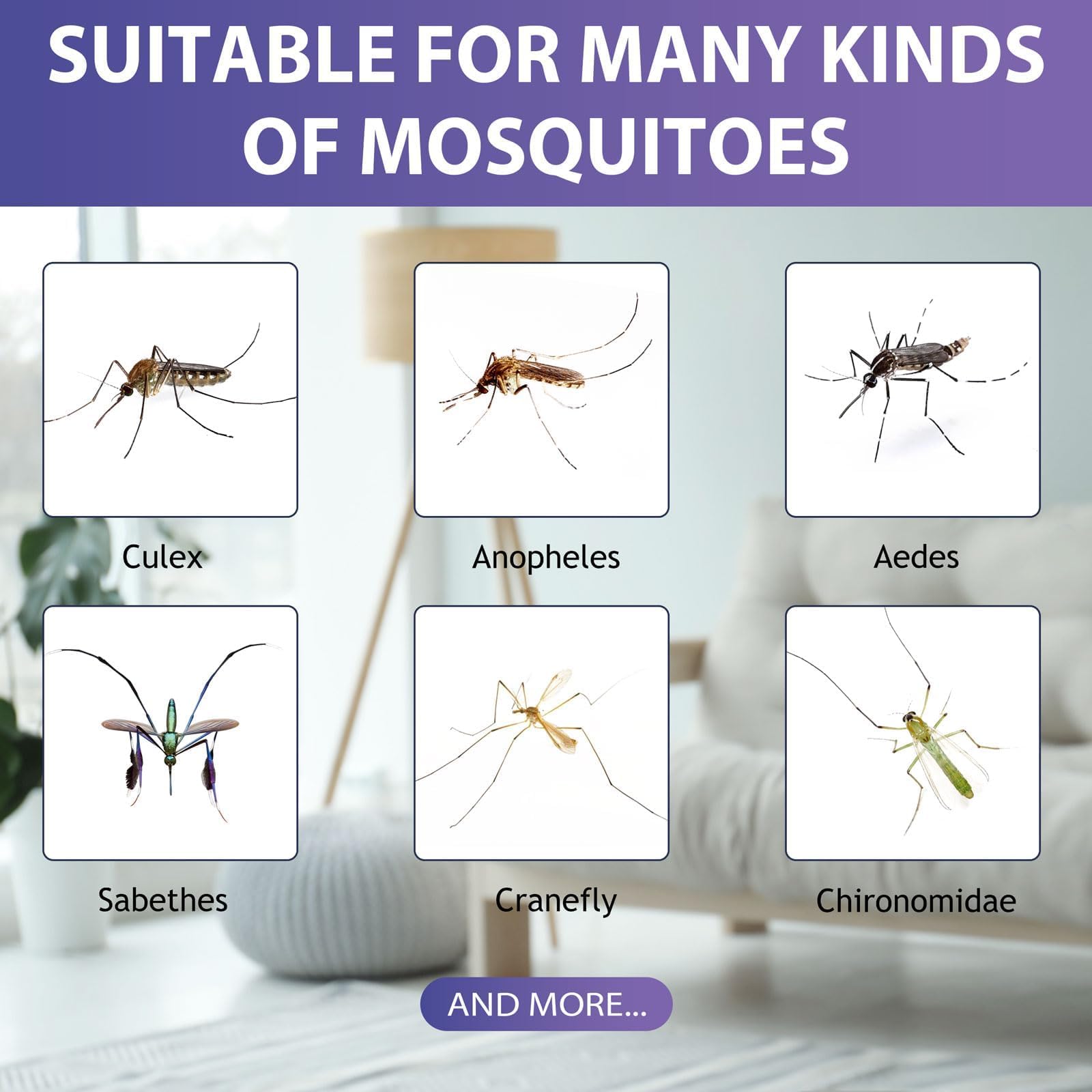 Glovv unidad en mesita de noche creando ambiente sin mosquitos