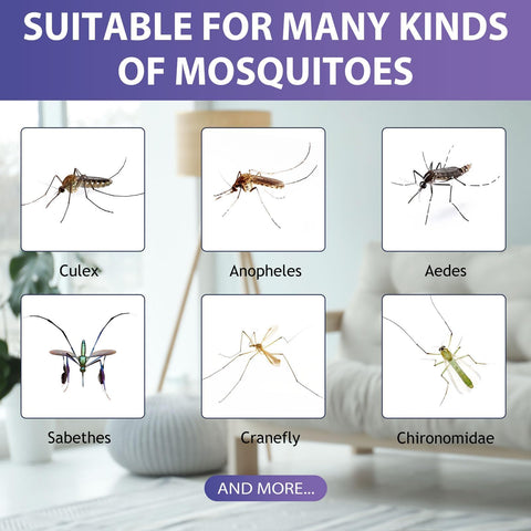 Glovv unidad en mesita de noche creando ambiente sin mosquitos