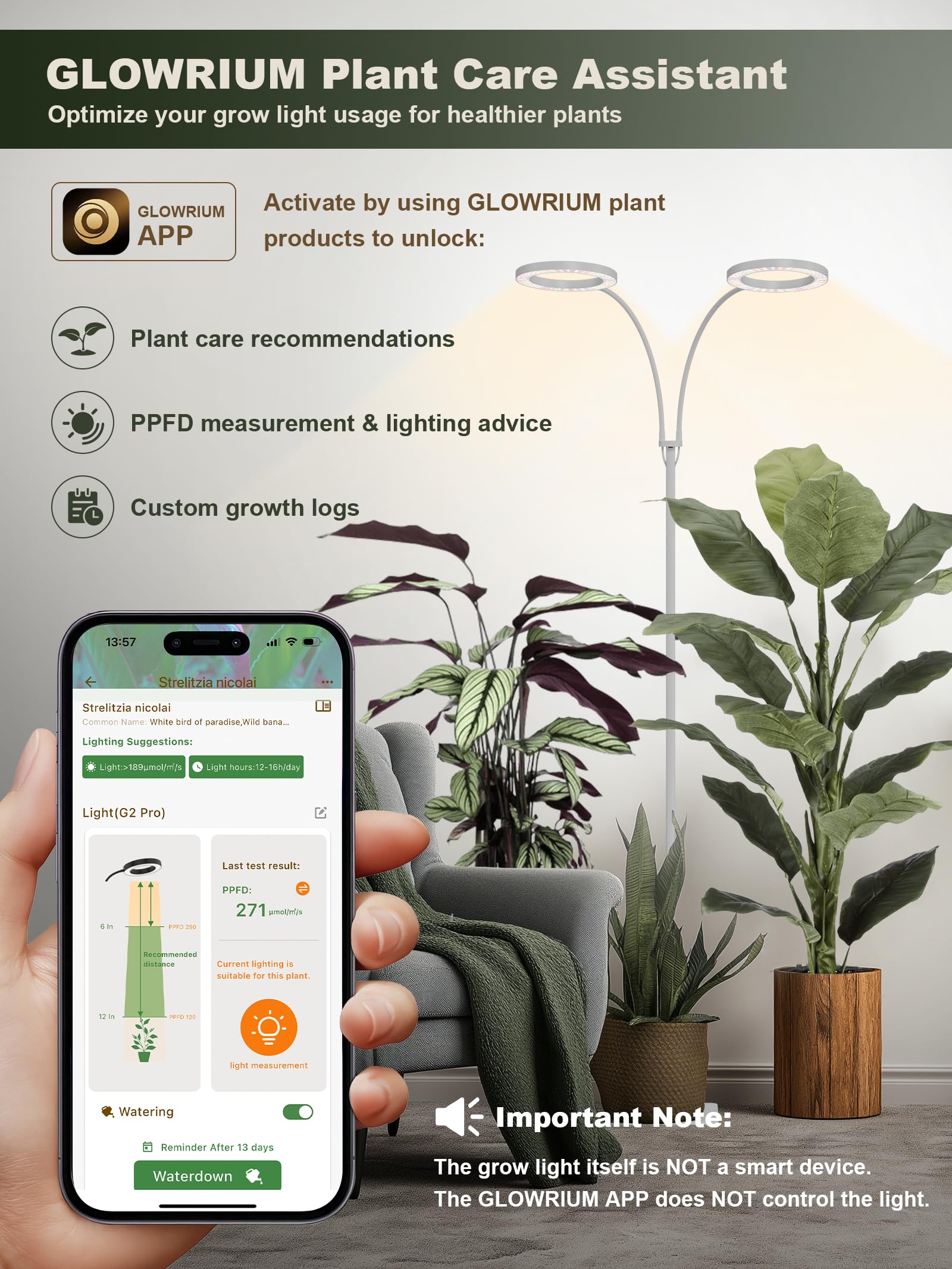 GLOWRIUM controlador en línea y cable mostrando temporizador y dimming fácil