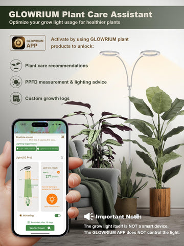 GLOWRIUM controlador en línea y cable mostrando temporizador y dimming fácil
