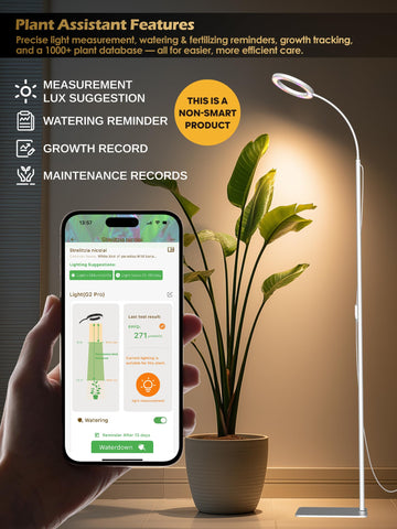 GLOWRIUM difusor esmerilado que suaviza la luz y evita puntos calientes