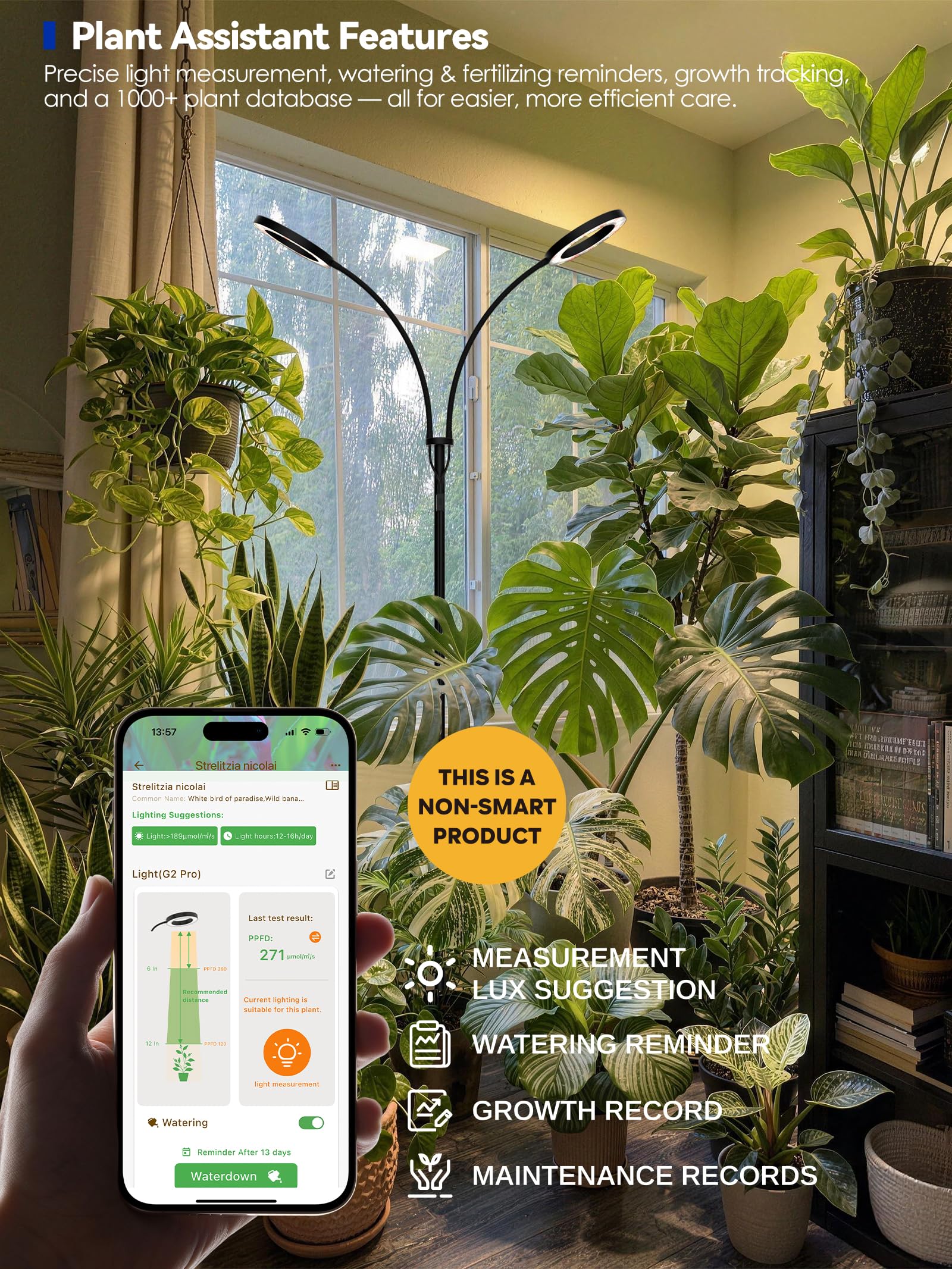 GLOWRIUM luz en uso iluminando plantas grandes en una sala acogedora