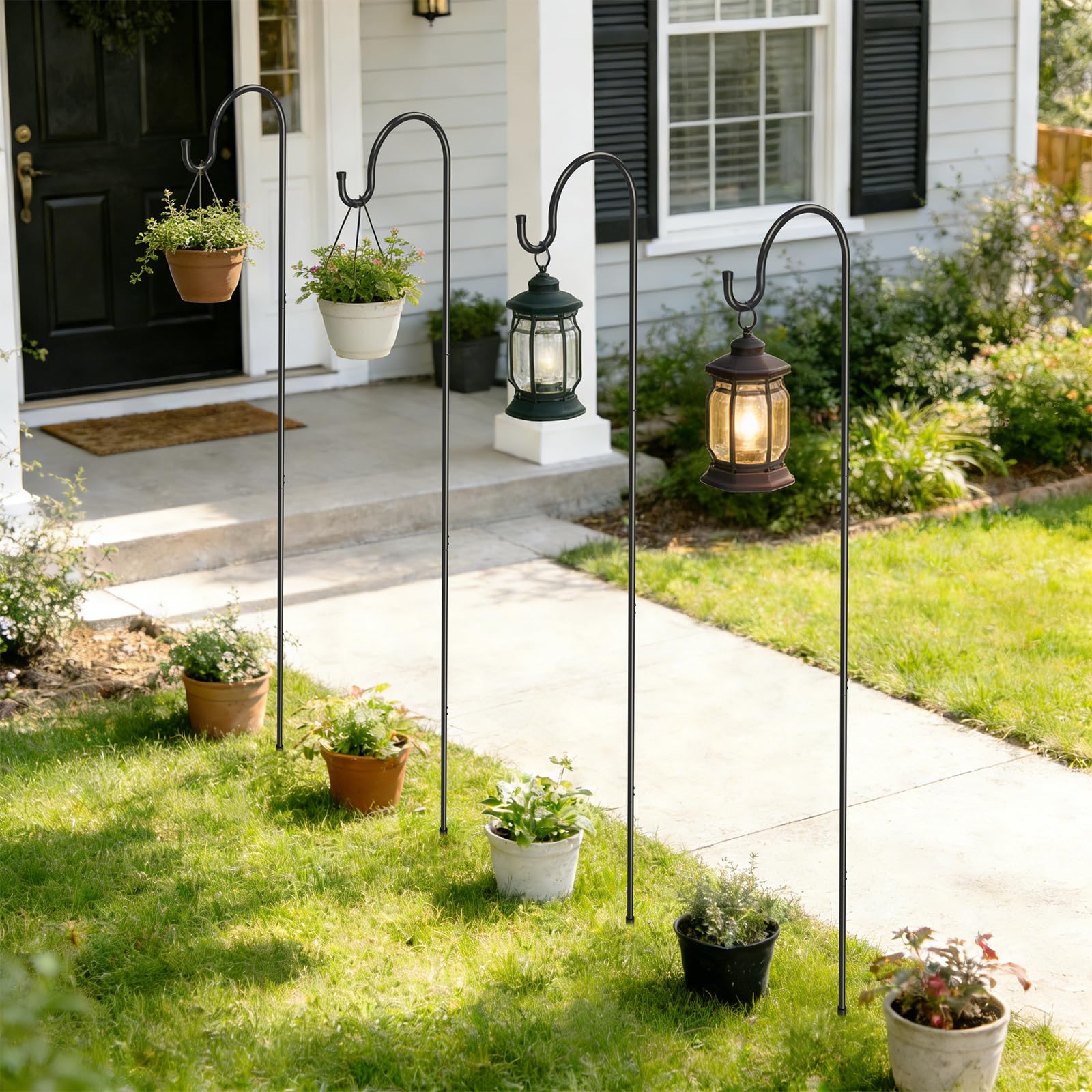 GOFORWILD conjunto en jardín realzando plantas y decoración exterior