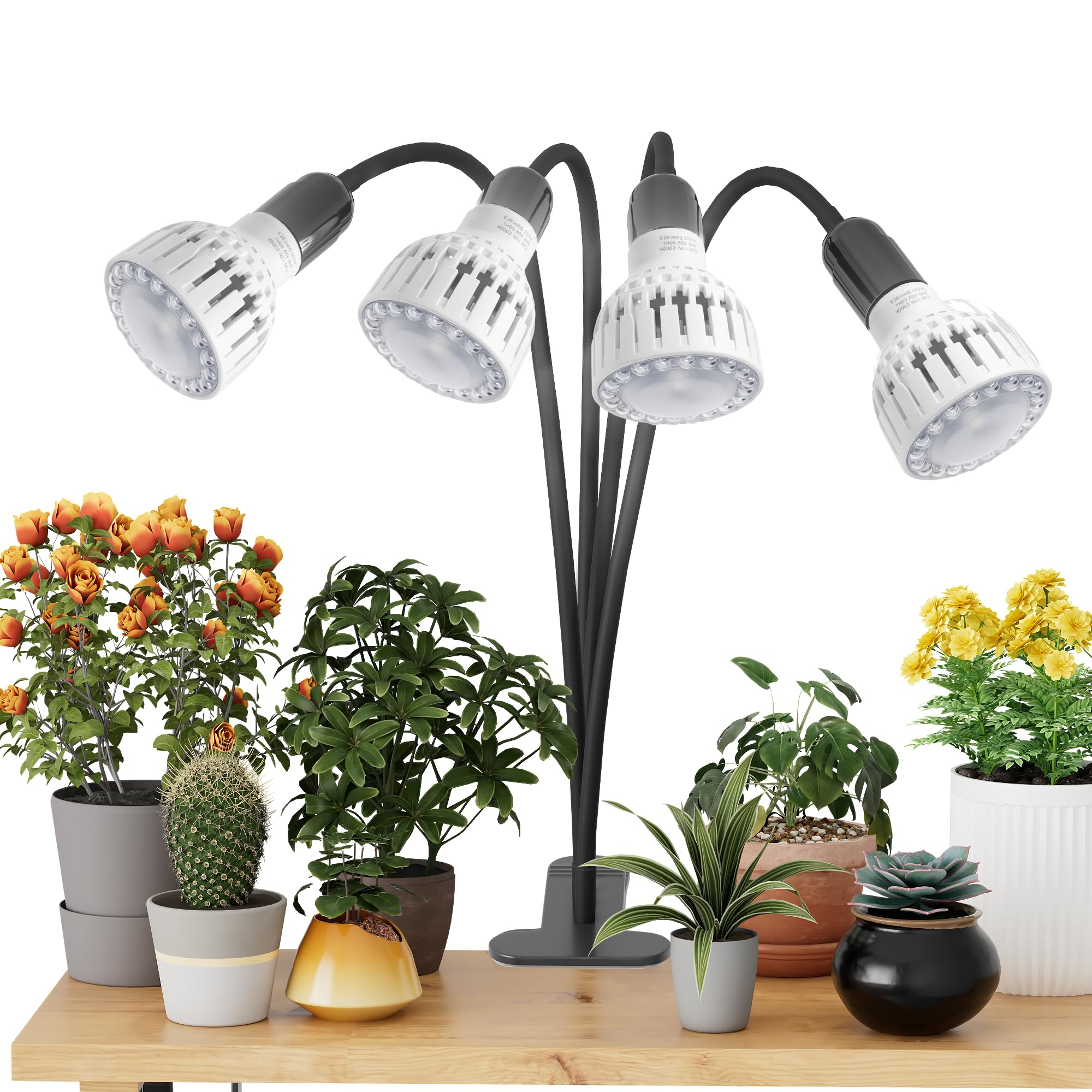 GooingTop en ambiente doméstico realzando plantas y decoración