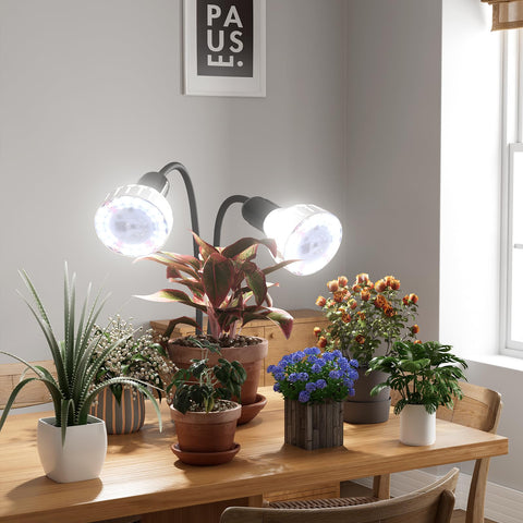 GooingTop clip abrazadera fuerte fijación segura en estantería para plantas