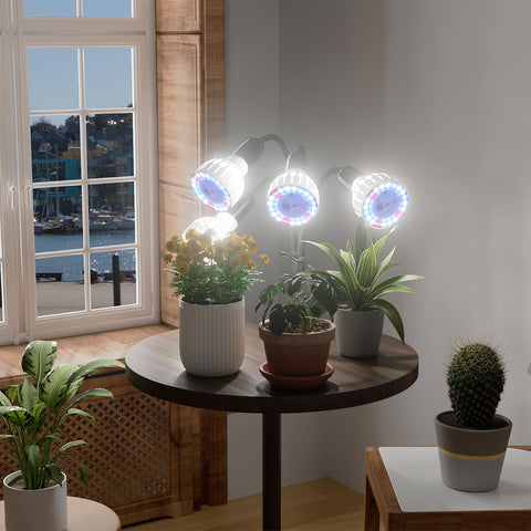 GooingTop comparación de tamaño mostrando escala junto a una planta