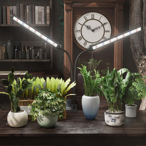 GooingTop lámpara junto a maceta para comparar tamaño, ideal para interiores
