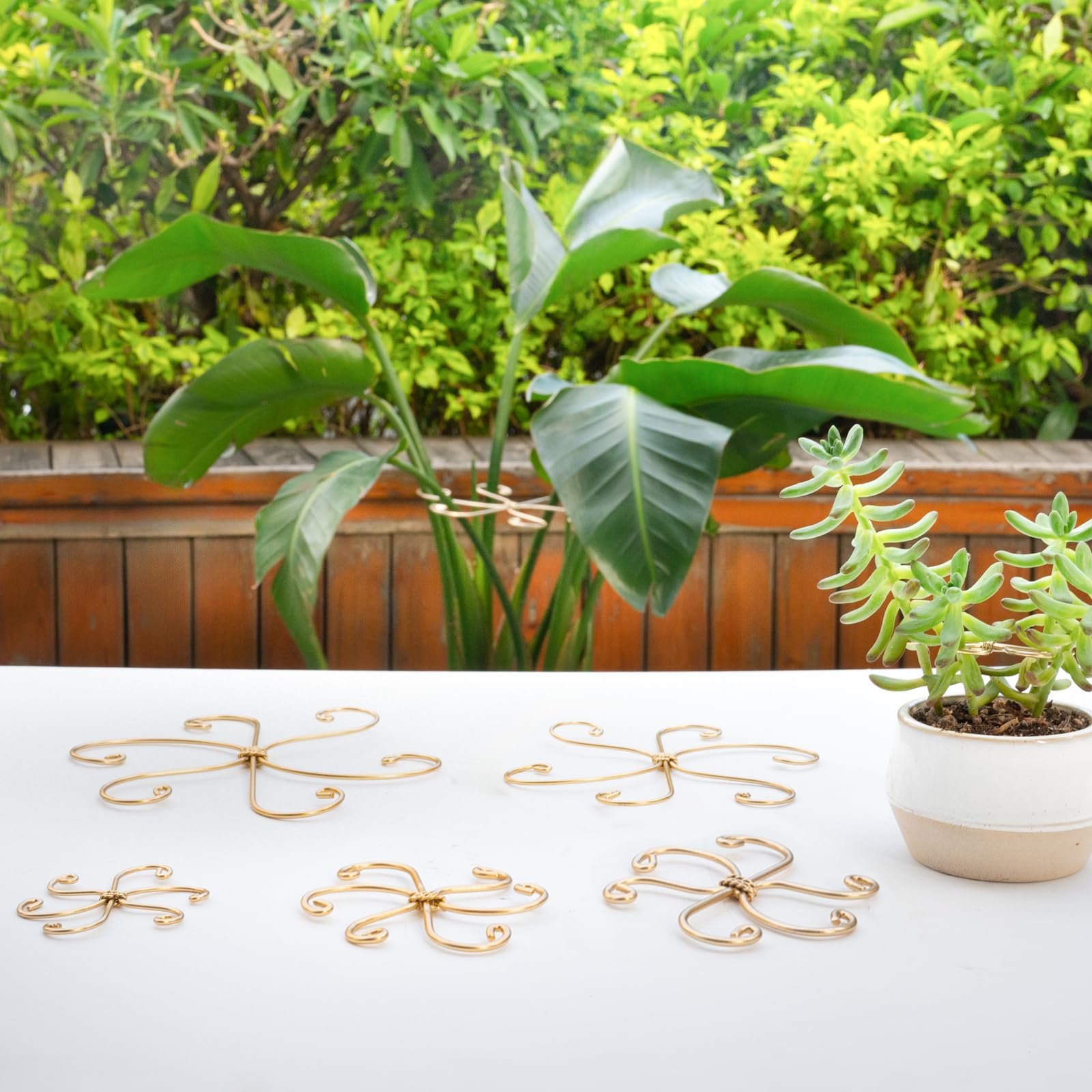 GOOOXIM ambiente casero con gancho sujetando planta, mejora la decoración