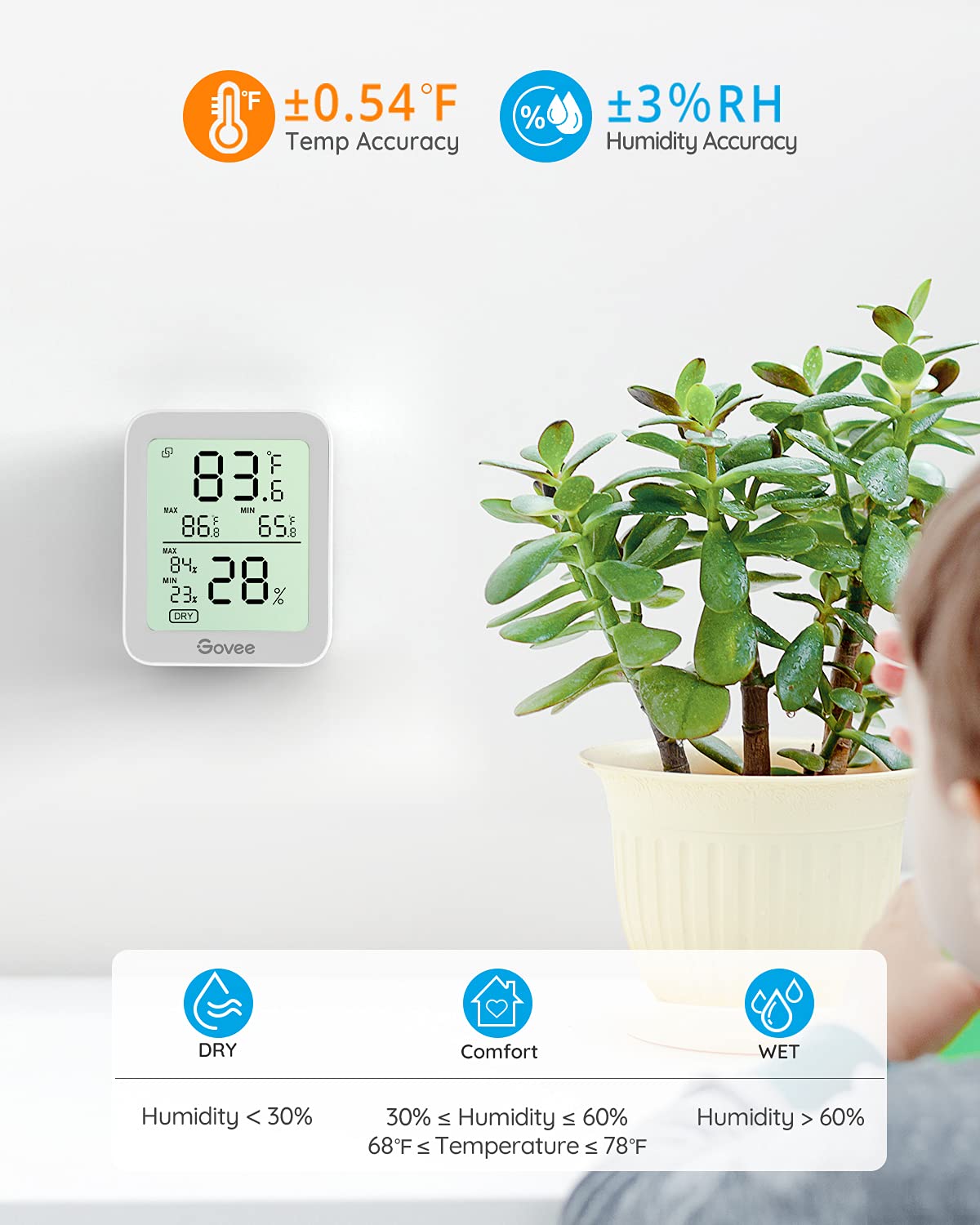 Govee en invernadero midiendo humedad y temperatura para cuidar plantas