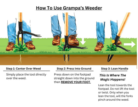Grampa's Weeder etiqueta y empaquetado de la herramienta listo para venta