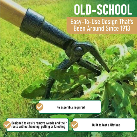 Grampa's Weeder mango de bambú largo para postura erguida y menor esfuerzo