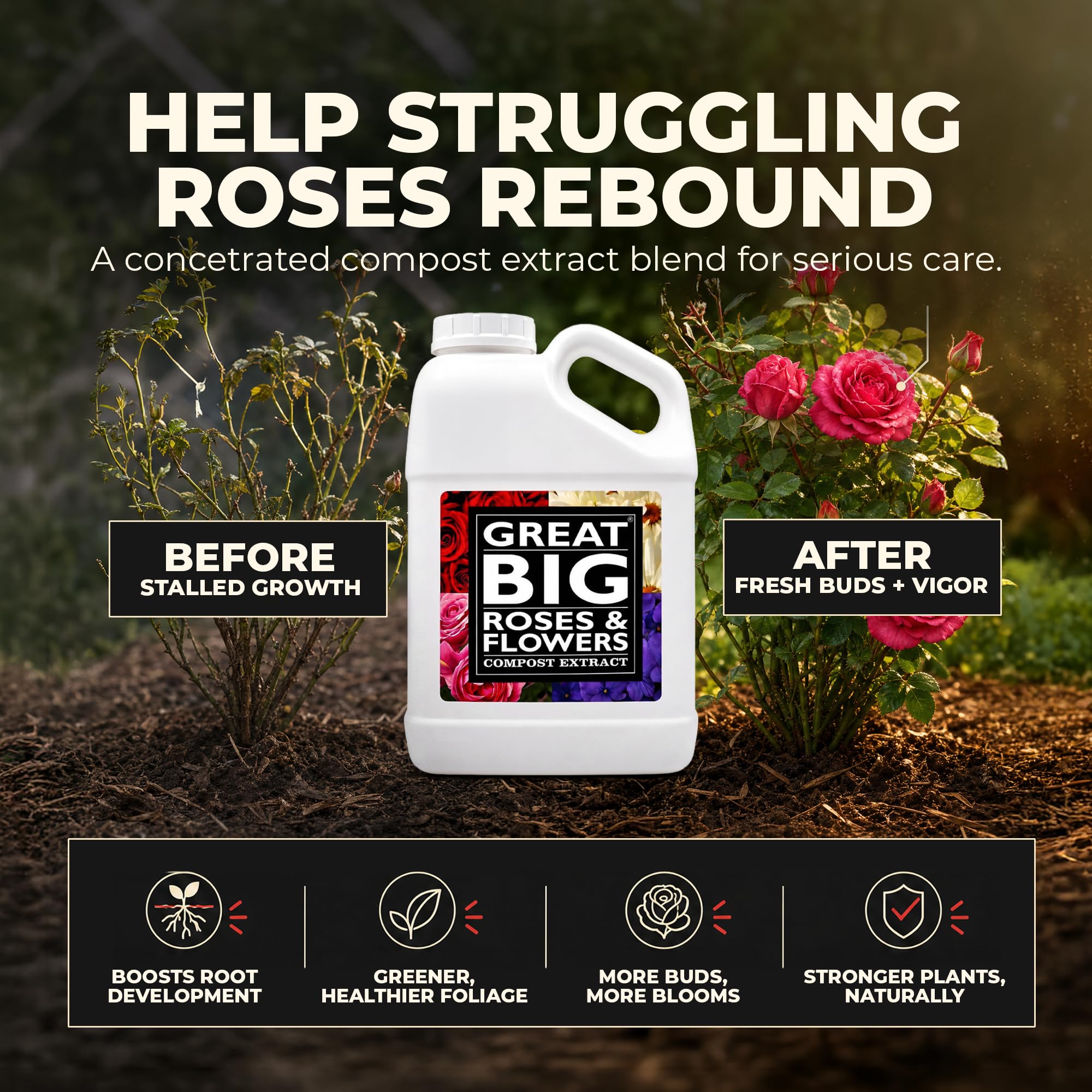 Great Big Roses galón al lado de una regla para comparar tamaño y rendimiento