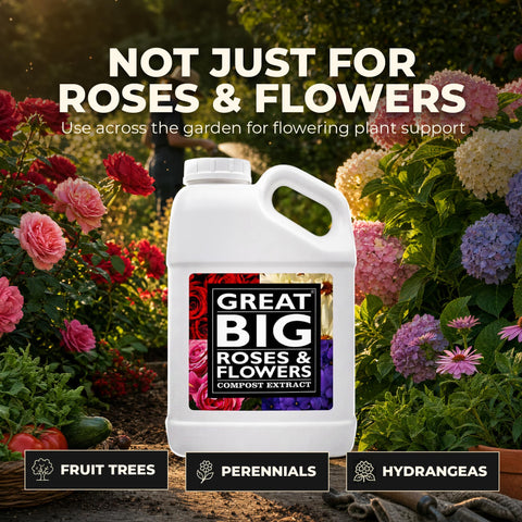Great Big Roses etiqueta con lista de minerales y uso, guía clara para el jardinero