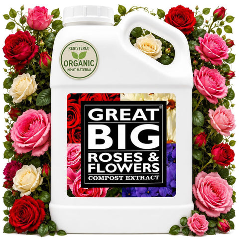 Great Big Roses frente del envase mostrando diseño y volumen 1 galón, facilita dosificación