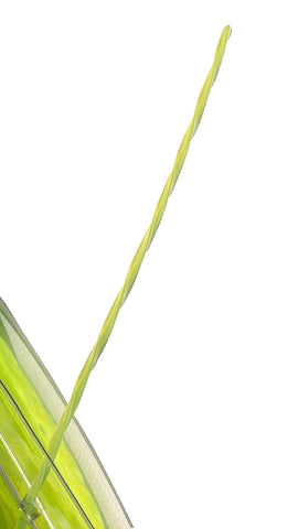 Greenworks comparación de tamaño en mano, fácil manejo y recambio
