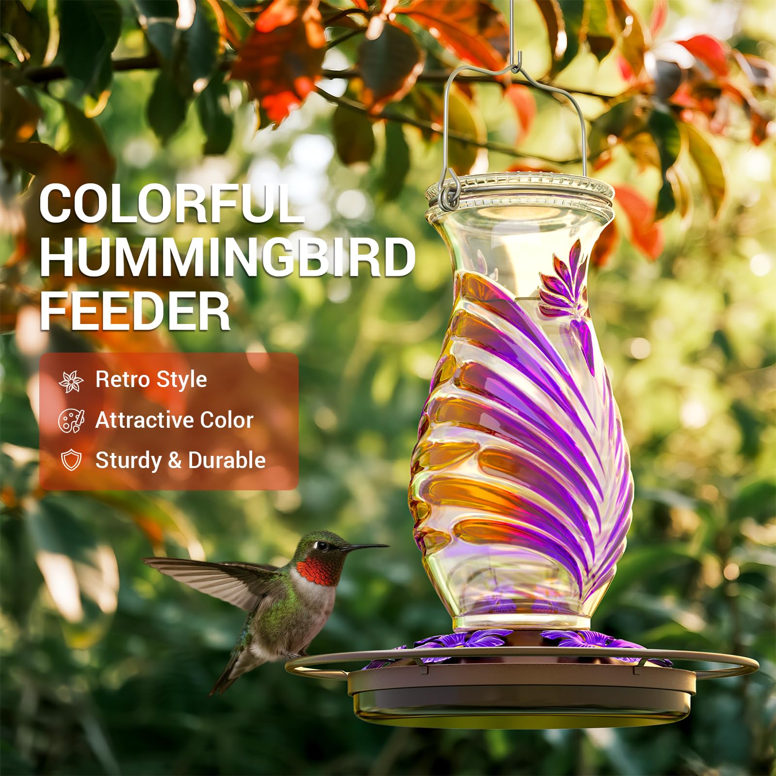 Grete Gotye colibrí alimentándose en jardín que facilita la observación al aire libre