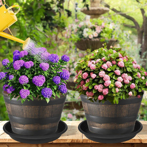 Grjoprt comparativa tamaño con maceta, ajuste para macetas 14-16"