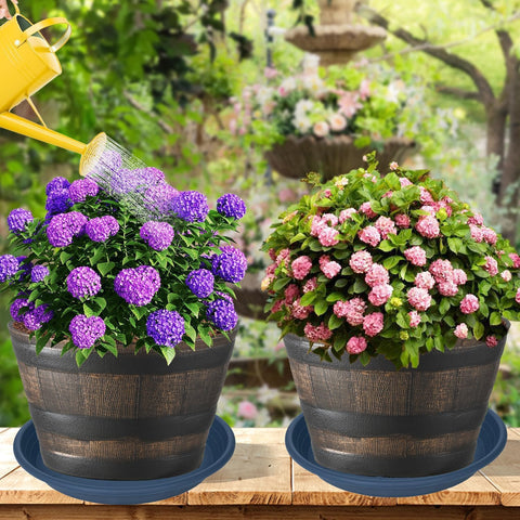 Grjoprt comparación de tamaño con maceta, encaja macetas pequeñas y medianas