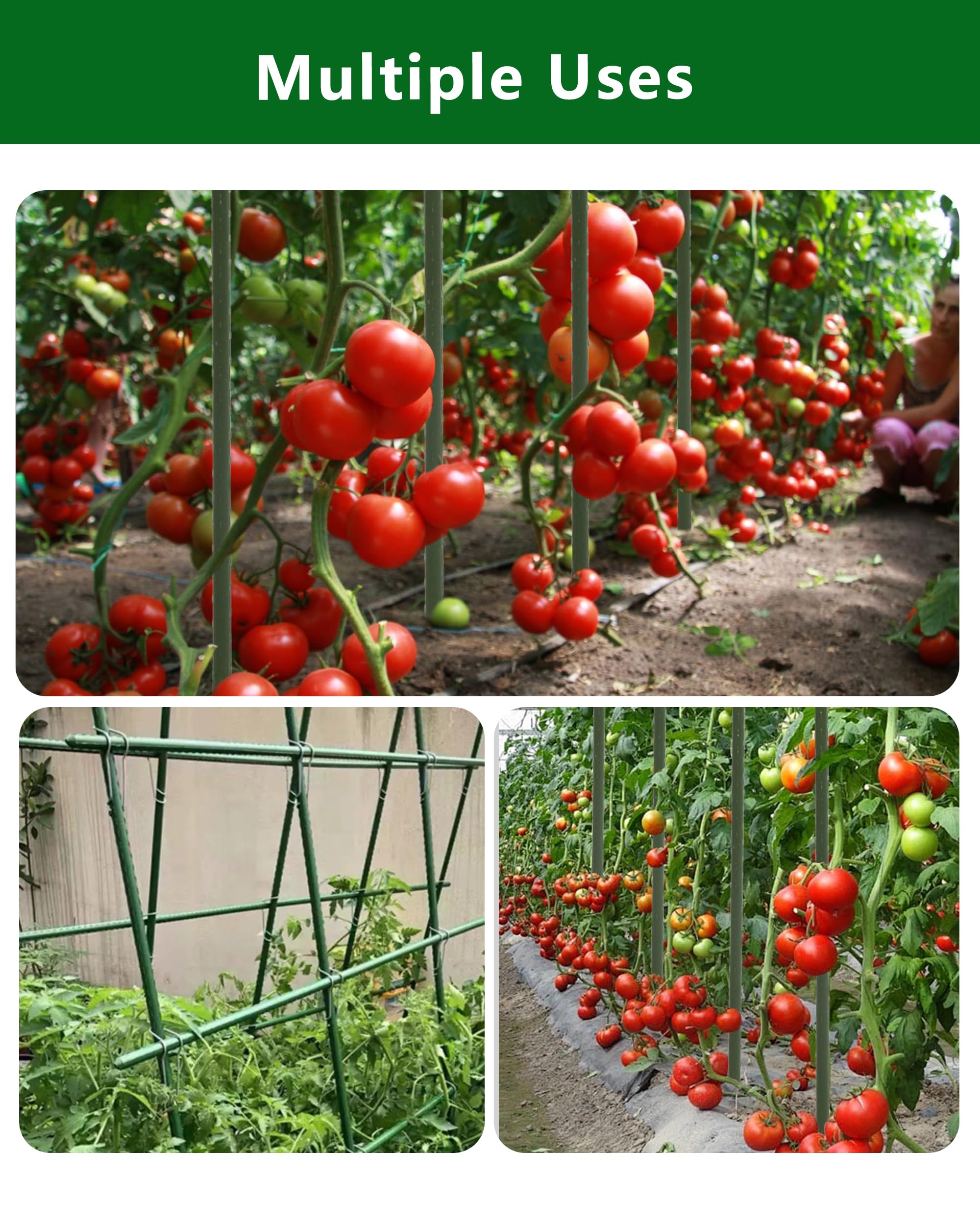 Groovboo estacas sujetando plantas de tomate mejorando soporte