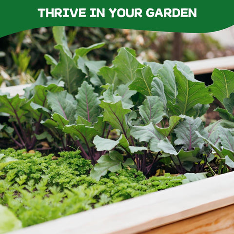 Groundio huerto casero con plantas diversas invitando a cultivar