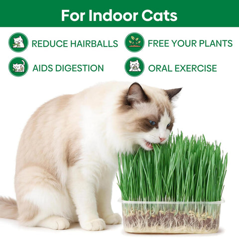 Groundio kit junto a manos para comparar tamaño y facilidad de manejo
