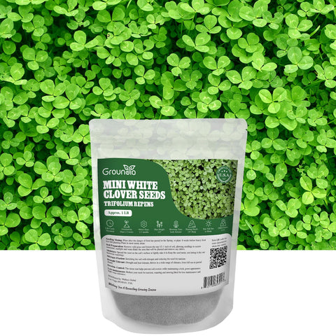 Groundio paquete frontal mostrando 1LB y beneficios de bajo mantenimiento