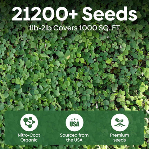 Groundio semillas detalle nitro coated e inoculadas para mejor germinación