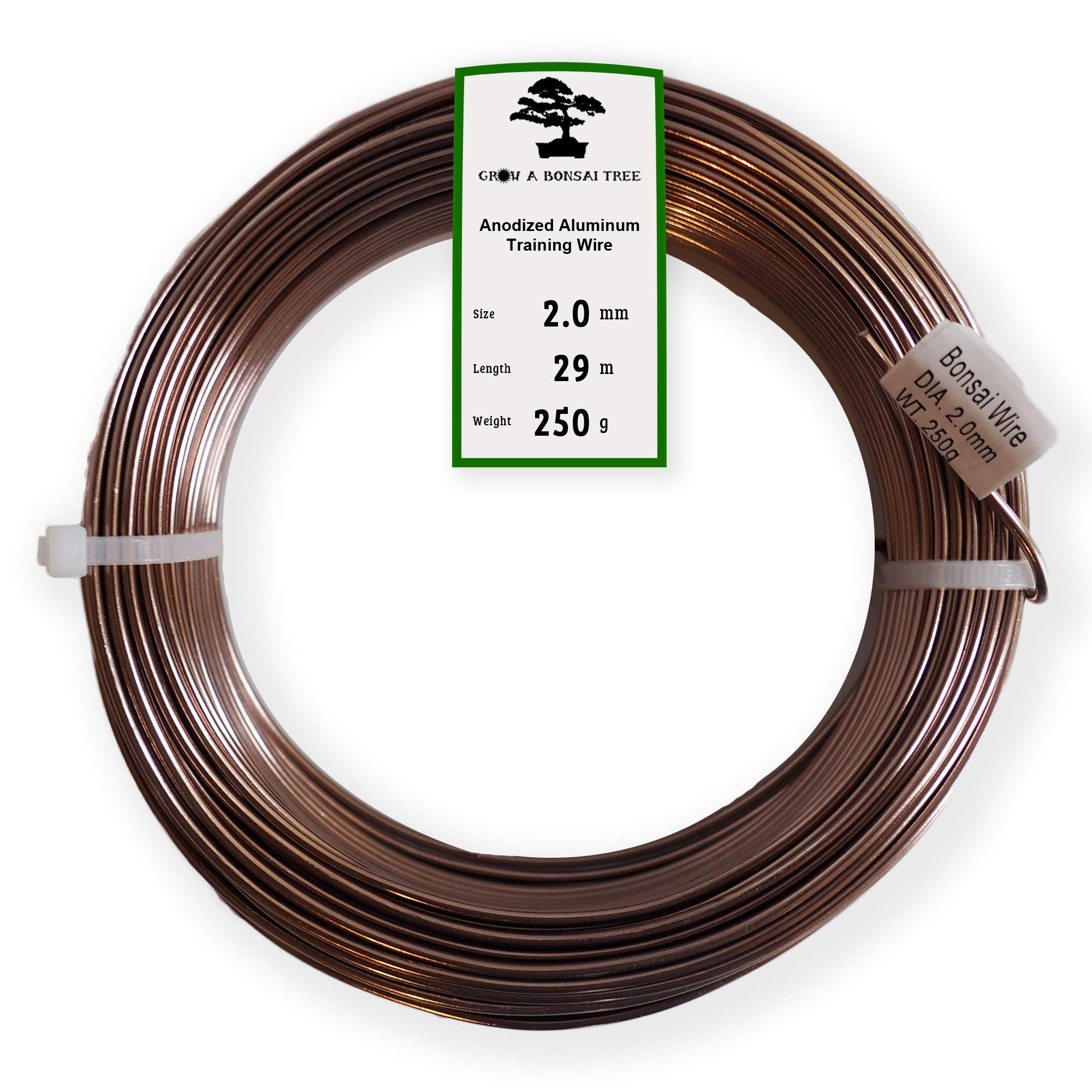 Grow A Bonsai Tree rollo frontal mostrando longitud y embalaje, fácil almacenamiento