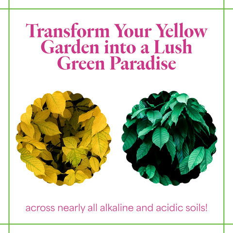 Grow More aplicación foliar sobre hojas verdes, mejora la coloración y salud visual