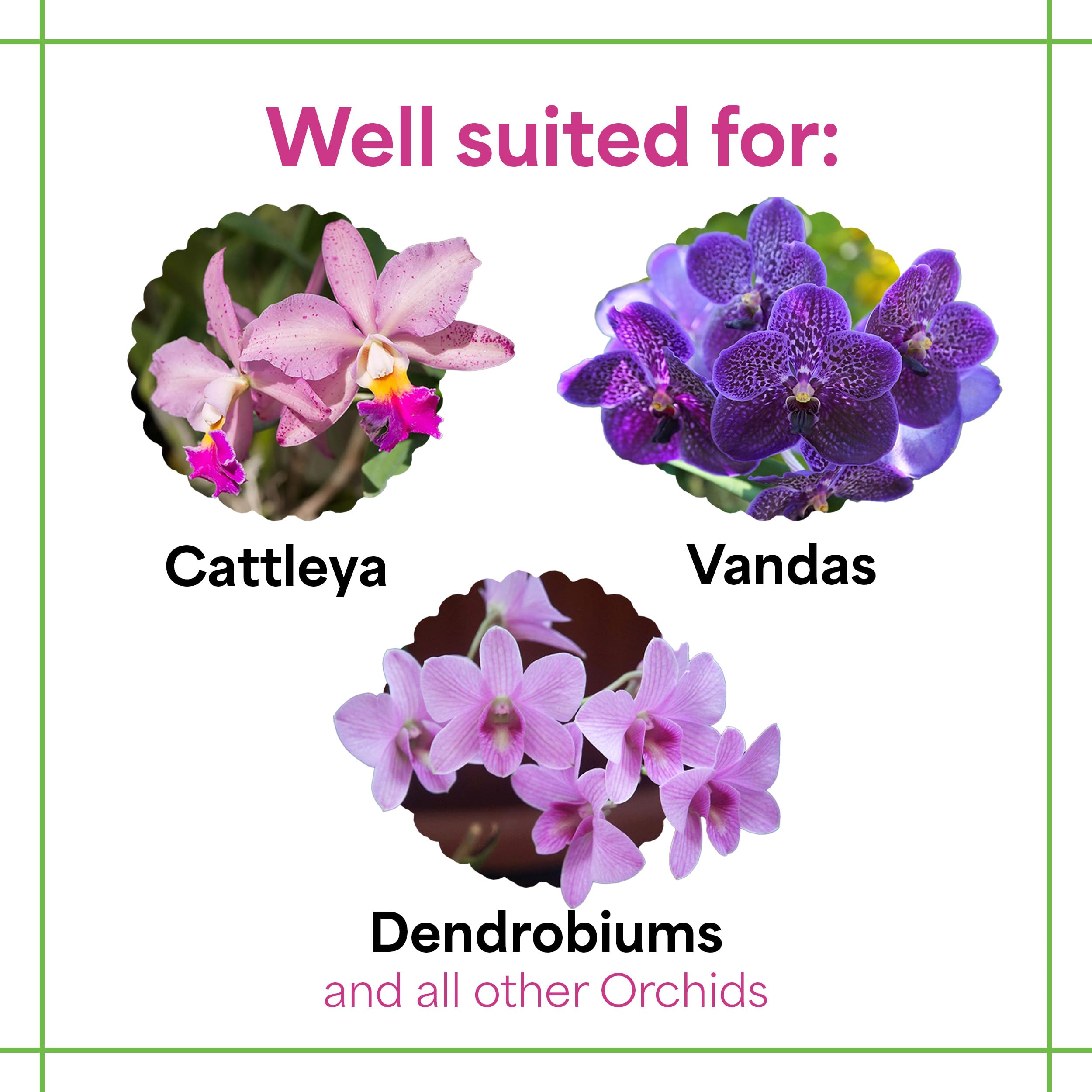 Grow More aplicando solución nutritiva en orquídea para floraciones vigorosas
