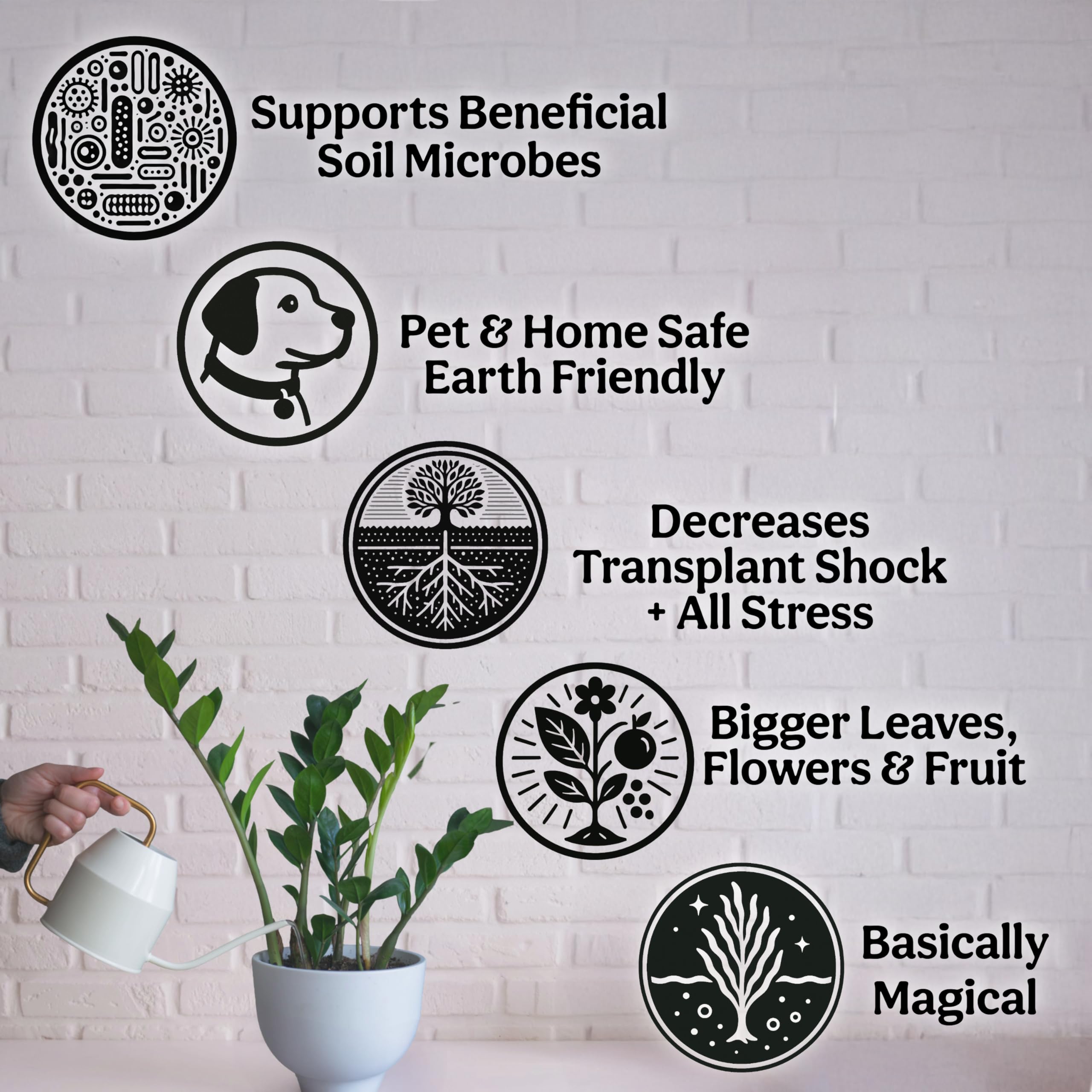 Grow Queen aplicación en sistema hidropónico mostrando compatibilidad