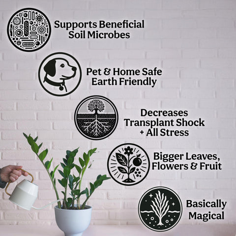 Grow Queen aplicación en sistema hidropónico mostrando compatibilidad
