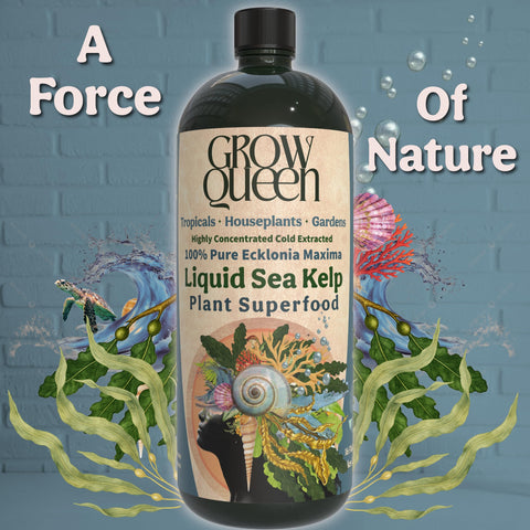 Grow Queen cierre y etiqueta en detalle con instrucciones legibles