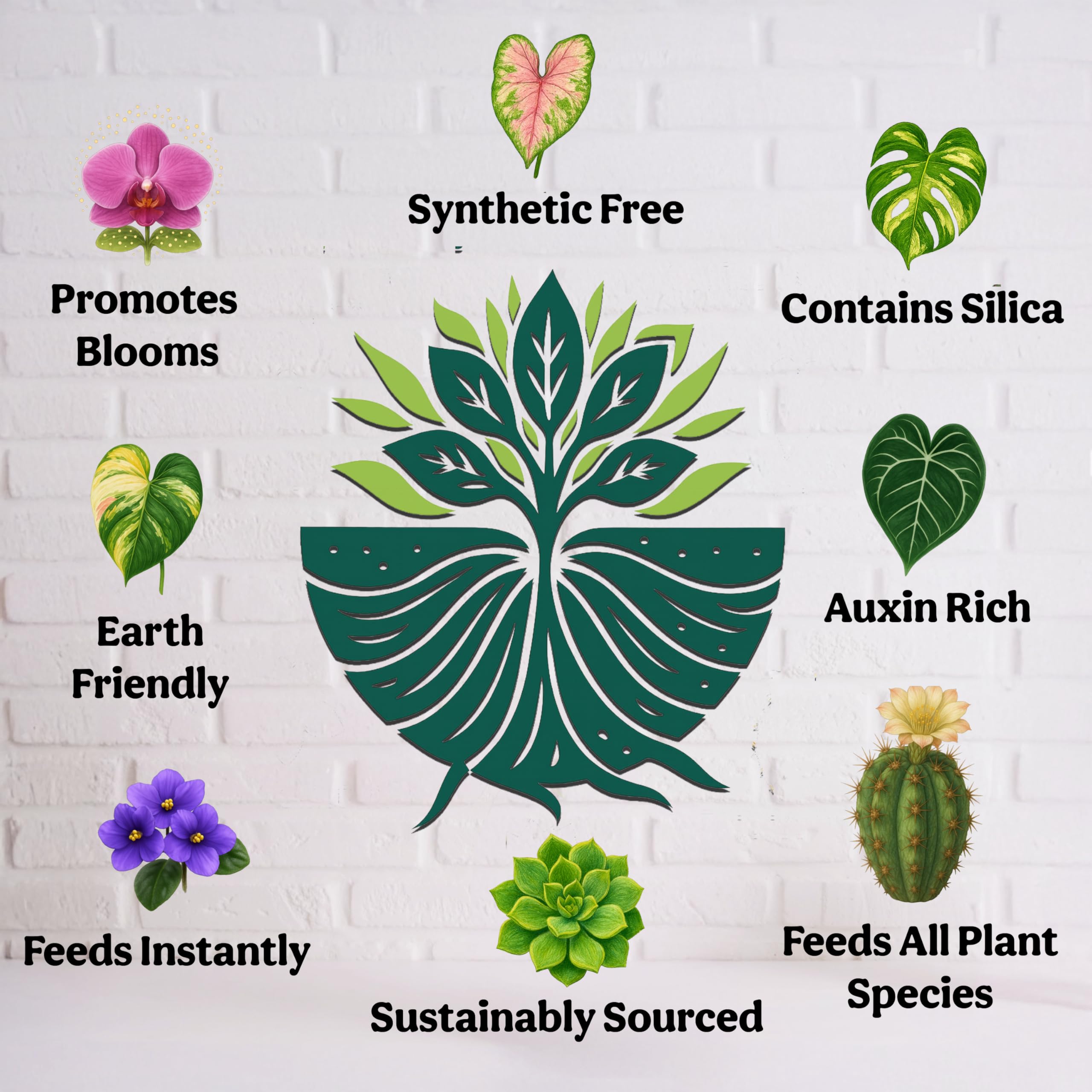Grow Queen ingredientes con kelp Ecklonia maxima que mejora brotes