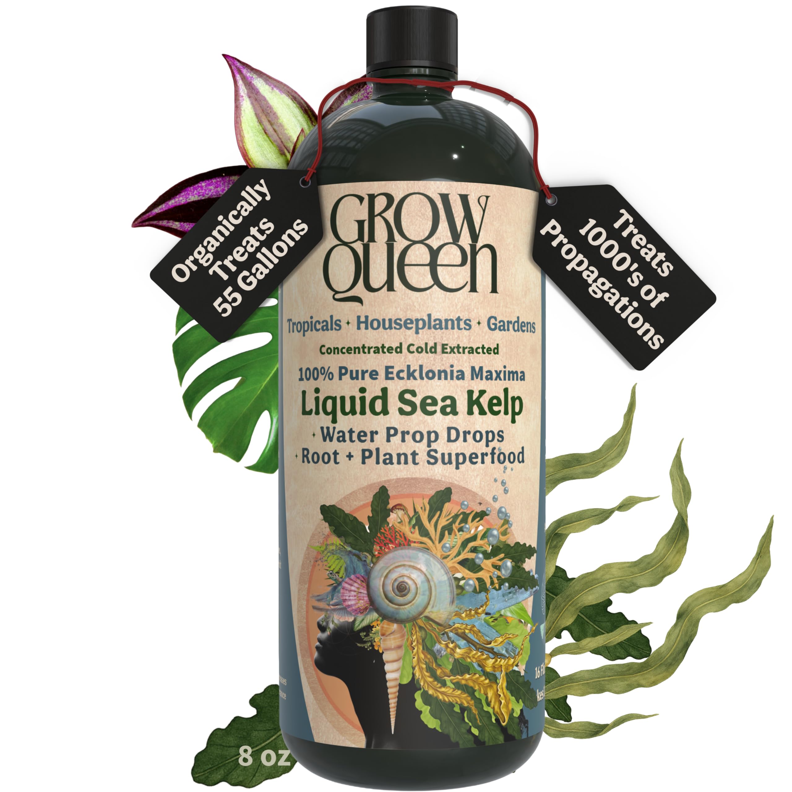 Grow Queen frasco delante mostrando etiqueta clara y uso ecológico