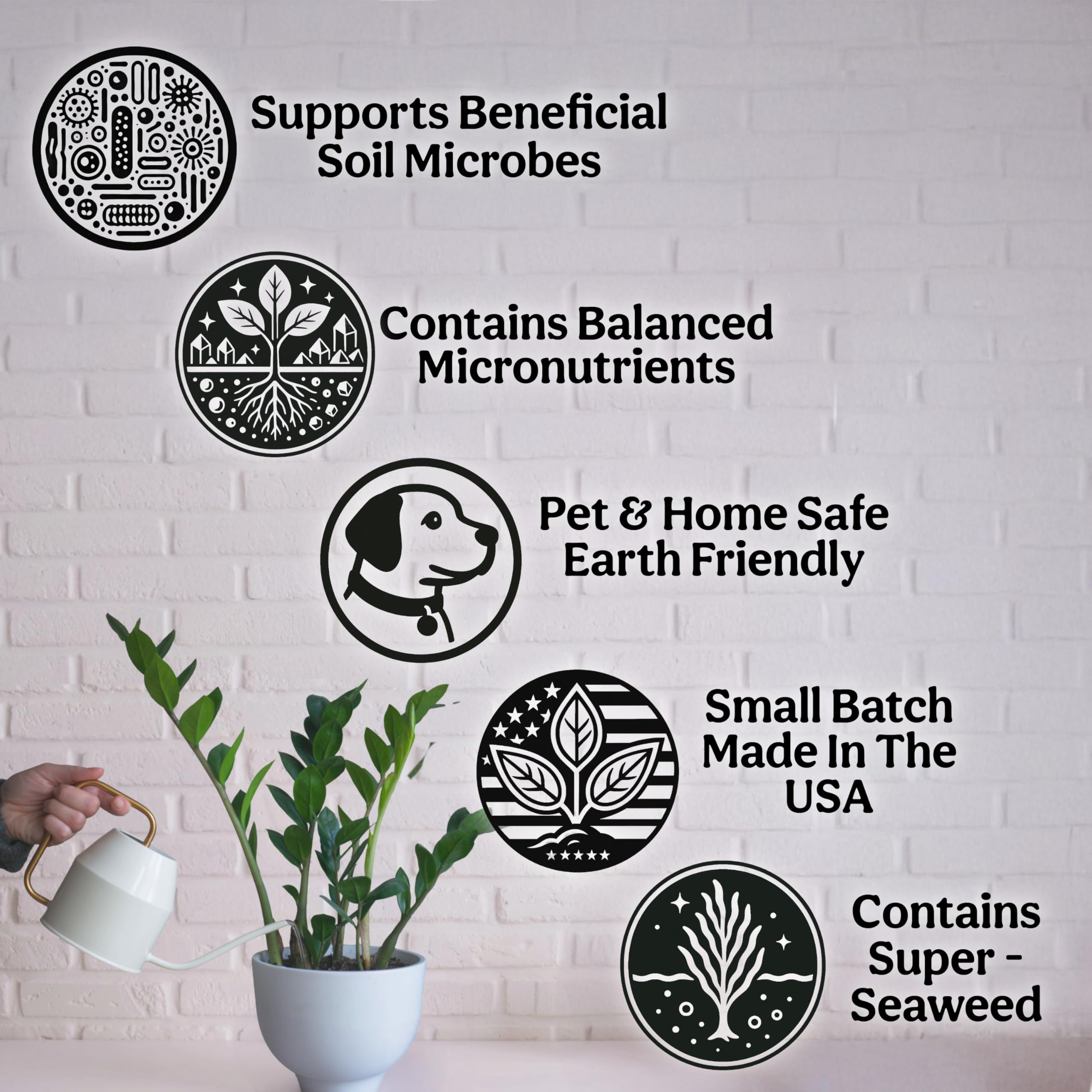 Grow Queen producto entre macetas variadas demostrando compatibilidad con plantas