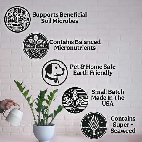 Grow Queen producto entre macetas variadas demostrando compatibilidad con plantas