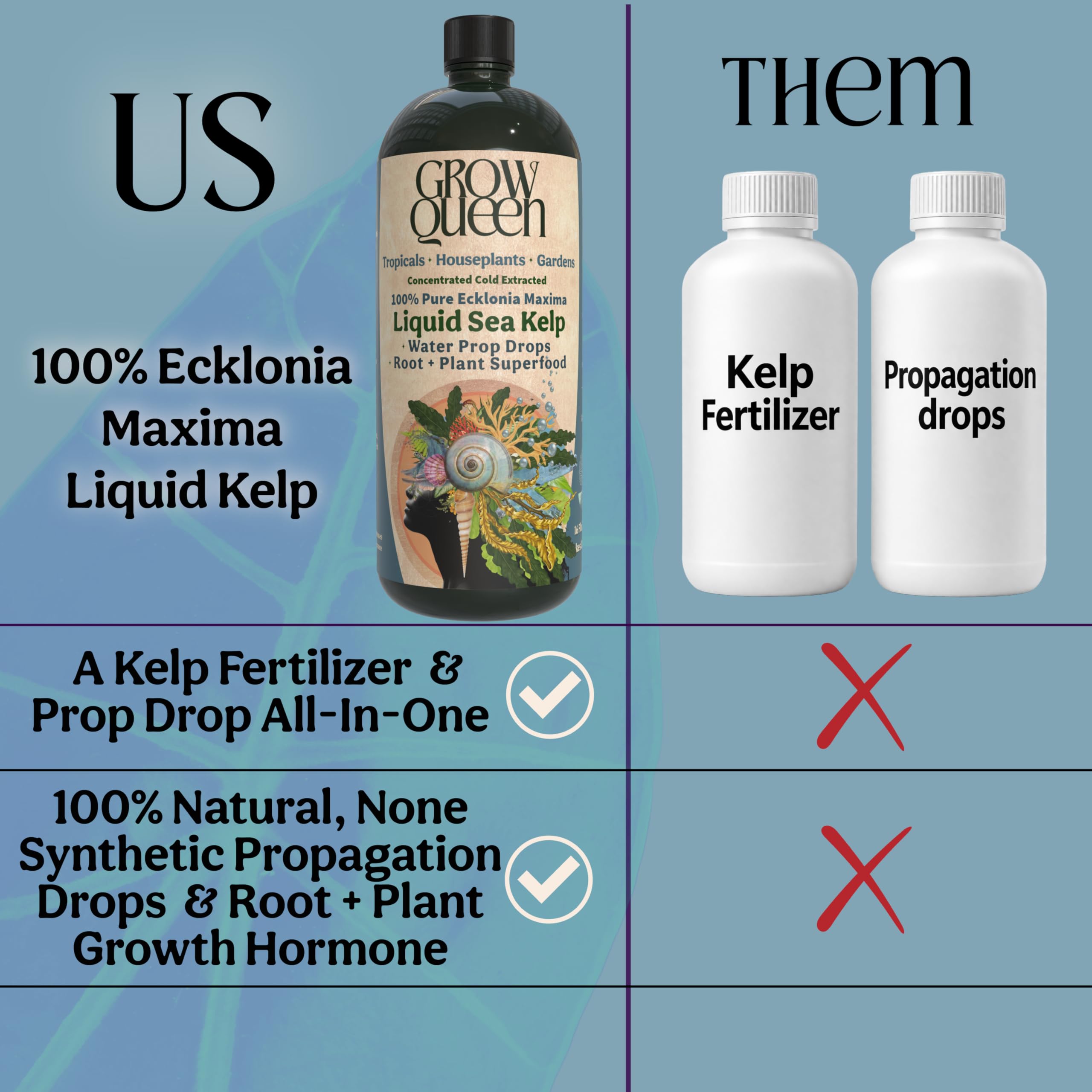 Grow Queen gota del líquido kelp concentrado, textura clara para mezclas rápidas