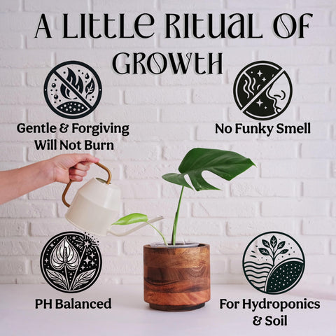Grow Queen textura del concentrado líquido, fácil mezcla y sin olores
