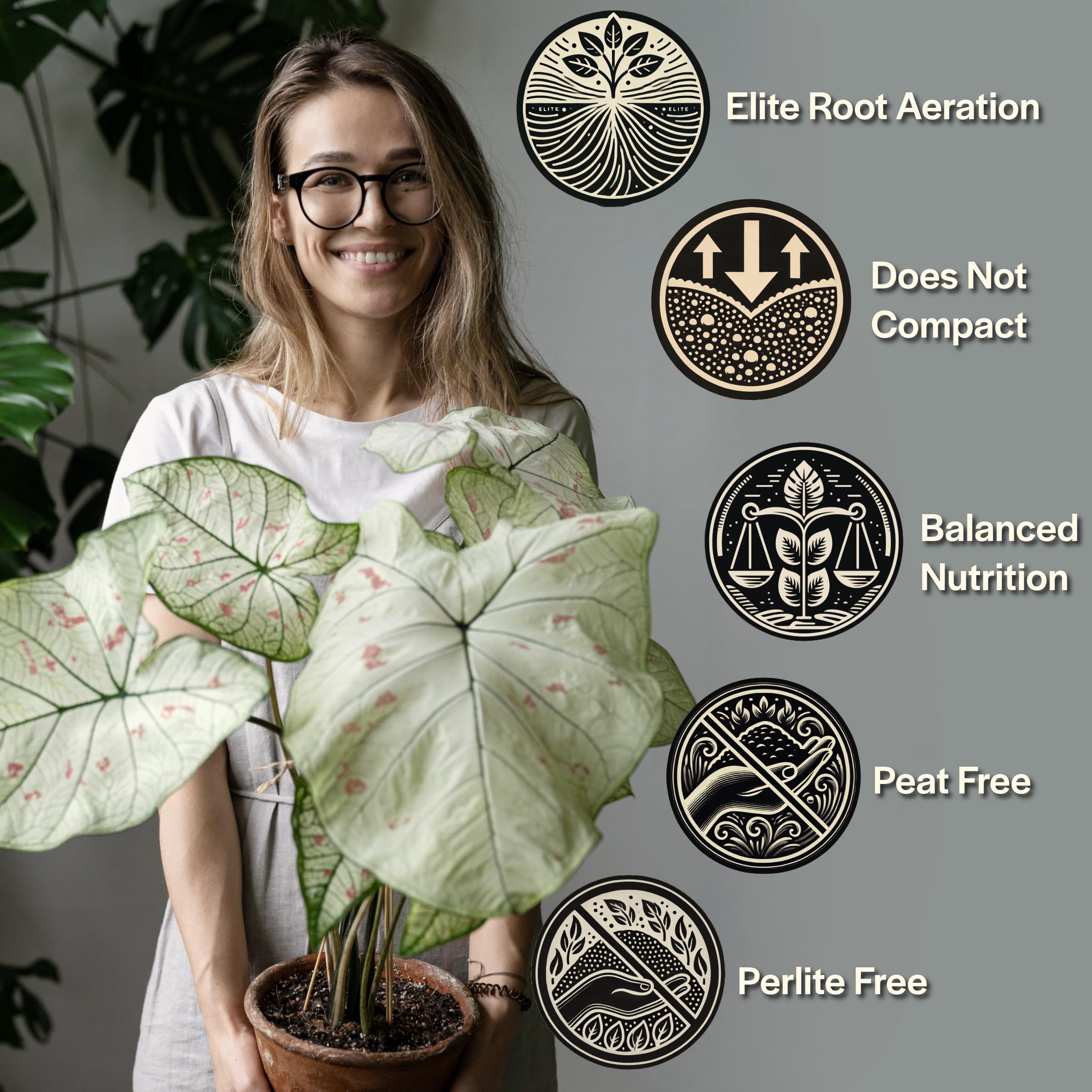 Grow Queen textura gruesa de la mezcla que mejora drenaje y aireación