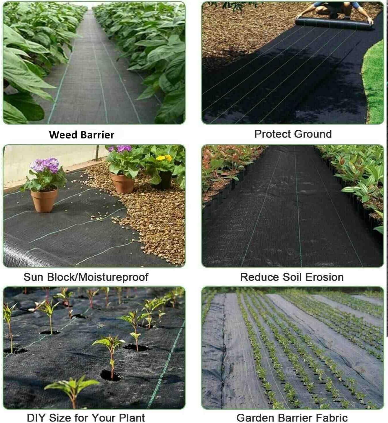 Groweco etiqueta del producto con material y beneficios claros